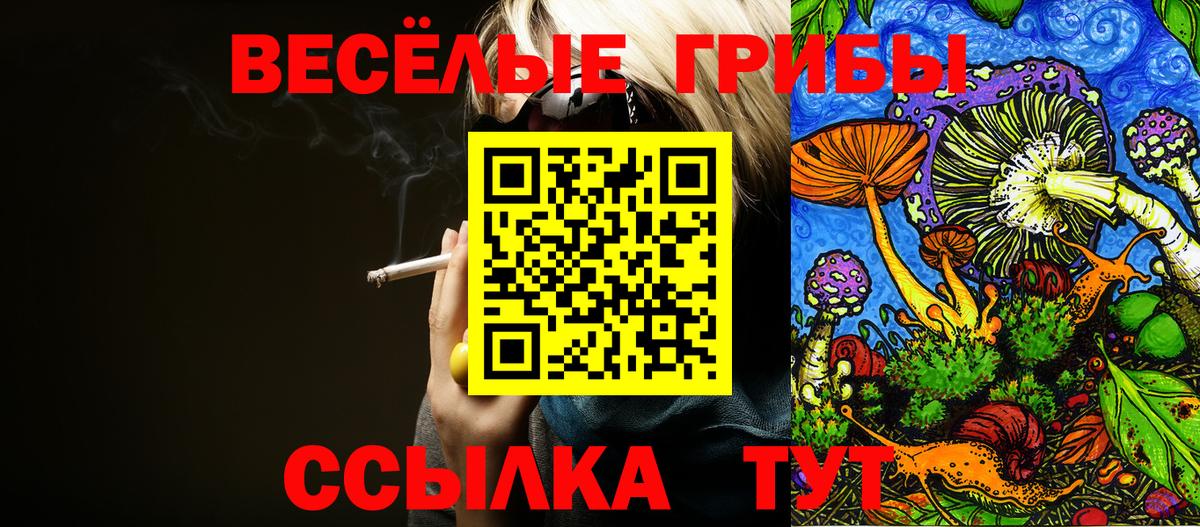что такое наркотик  Галлюциногенные грибы прущие грибы  Вход с VPN  Галлюциногенные грибы MAGIC MUSHROOMS  Сургут 
